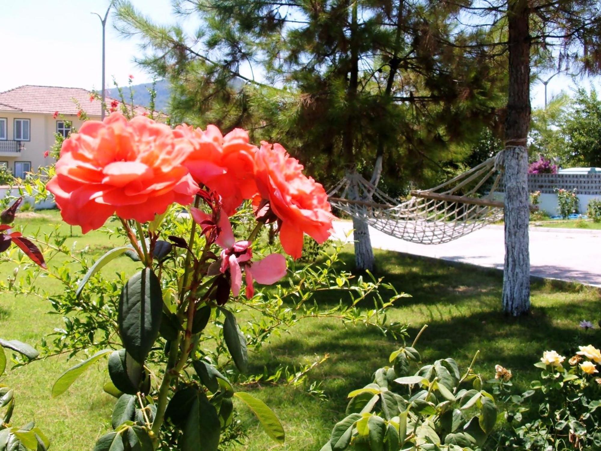 Gurkan Apart Hotel Dalyan Exterior photo
