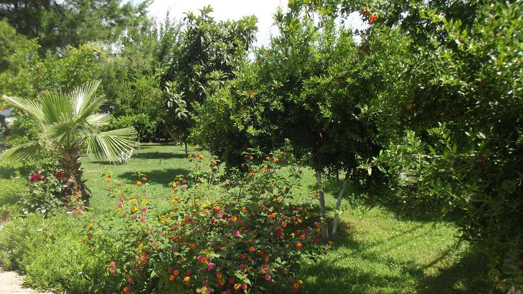 Gurkan Apart Hotel Dalyan Exterior photo